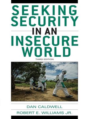cover image of Seeking Security in an Insecure World